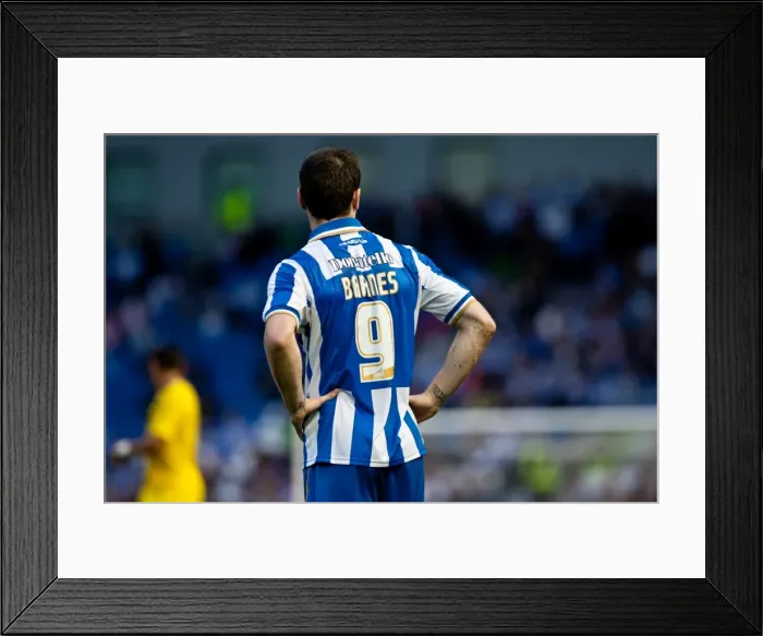 Framed Print : Brighton & Hove Albion: 2012-13 Pre-Season - Reading Framed Print : Brighton & Hove Albion: 2012-13 Pre-Season - Reading