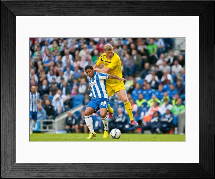 Framed Print : Brighton & Hove Albion: 2012-13 Pre-Season - Reading