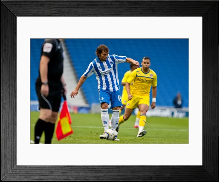 Framed Print : Brighton & Hove Albion 2012-13 Pre-Season: Reading Framed Print : Brighton & Hove Albion 2012-13 Pre-Season: Reading