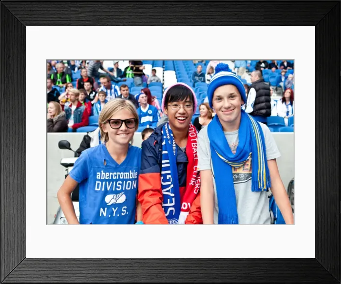 Framed Print : Brighton & Hove Albion: 2012-13 Pre-Season - A Look Back at the Reading Match Framed Print : Brighton & Hove Albion: 2012-13 Pre-Season - A Look Back at the Reading Match