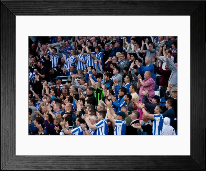 Framed Print : Brighton & Hove Albion: A Glance at the 2012-13 Pre-Season Clash with Reading Framed Print : Brighton & Hove Albion: A Glance at the 2012-13 Pre-Season Clash with Reading
