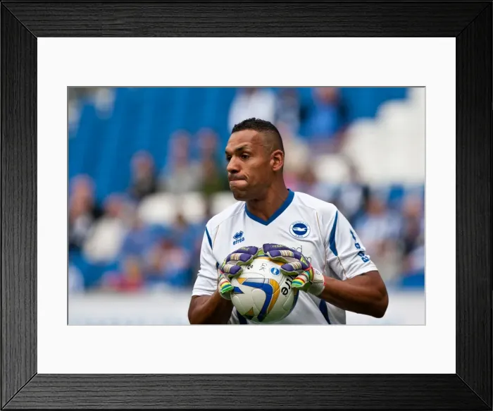 Framed Print : Michel Kuipers: A Former Brighton and Hove Albion Star Framed Print : Michel Kuipers: A Former Brighton and Hove Albion Star