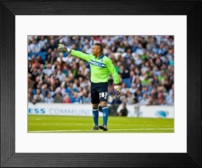 Framed Print : Brighton & Hove Albion: 2012-13 Pre-Season - A Look Back at the Reading Match Framed Print : Brighton & Hove Albion: 2012-13 Pre-Season - A Look Back at the Reading Match