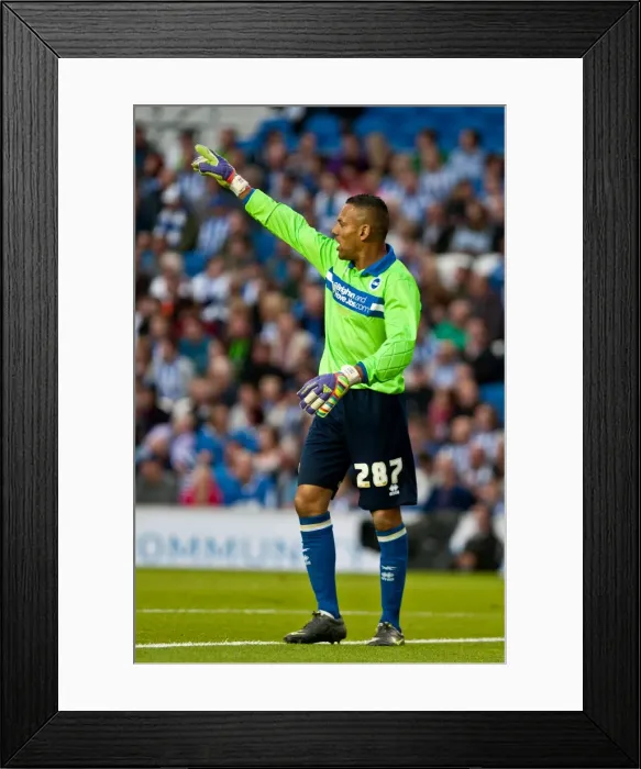 Framed Print : Brighton & Hove Albion: 2012-13 Pre-Season - Reading Framed Print : Brighton & Hove Albion: 2012-13 Pre-Season - Reading