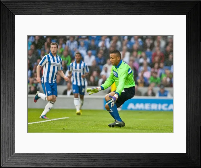 Framed Print : Brighton & Hove Albion: 2012-13 Pre-Season - A Look Back at the Reading Match Framed Print : Brighton & Hove Albion: 2012-13 Pre-Season - A Look Back at the Reading Match