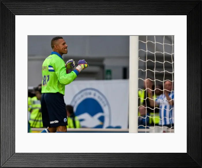 Framed Print : Brighton & Hove Albion: 2012-13 Pre-Season - Reading Framed Print : Brighton & Hove Albion: 2012-13 Pre-Season - Reading