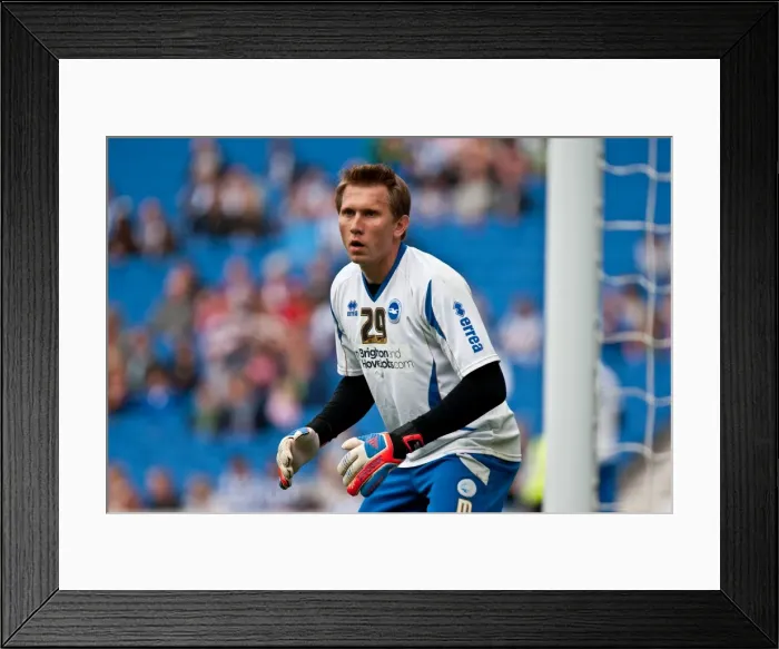 Framed Print : Brighton & Hove Albion: In Action with Goalkeeper Tomasz Kuszczak Framed Print : Brighton & Hove Albion: In Action with Goalkeeper Tomasz Kuszczak