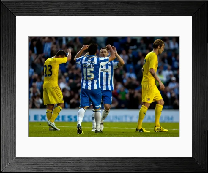 Framed Print : Brighton & Hove Albion: 2012-13 Pre-Season - A Look Back at the Reading Match Framed Print : Brighton & Hove Albion: 2012-13 Pre-Season - A Look Back at the Reading Match