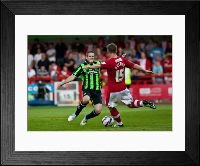 Framed Print : Brighton & Hove Albion vs Crawley Town: 2012-13 Pre-Season Clash Framed Print : Brighton & Hove Albion vs Crawley Town: 2012-13 Pre-Season Clash