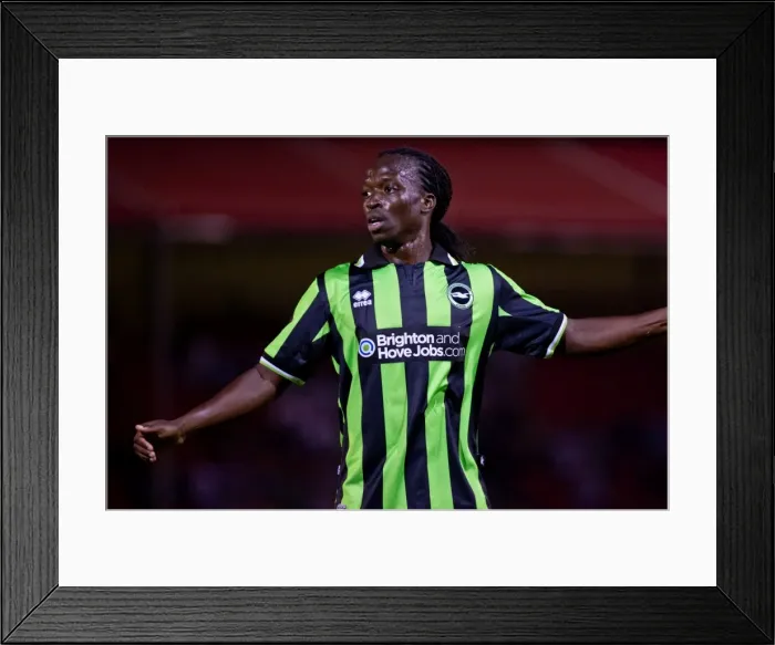 Framed Print : Brighton & Hove Albion vs Crawley Town: 2012-13 Pre-Season Clash Framed Print : Brighton & Hove Albion vs Crawley Town: 2012-13 Pre-Season Clash