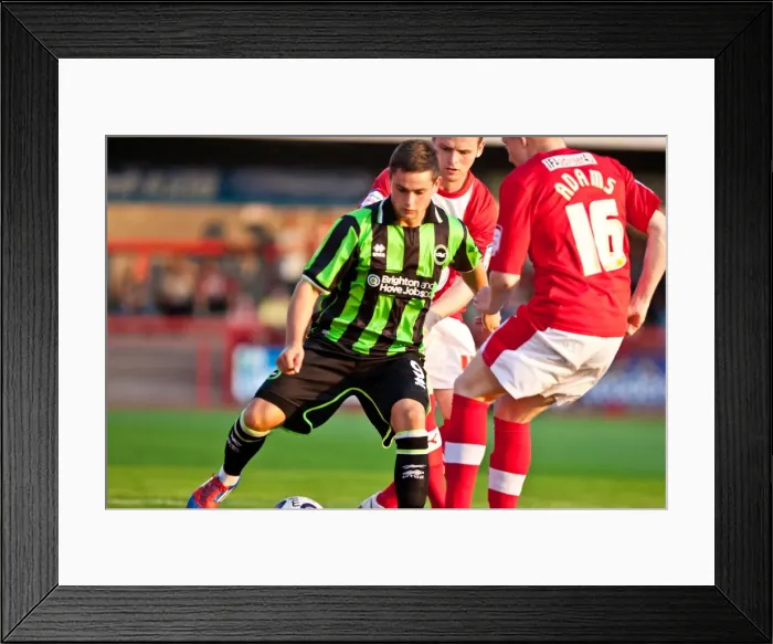 Framed Print : Brighton & Hove Albion vs Crawley Town: 2012-13 Pre-Season Clash Framed Print : Brighton & Hove Albion vs Crawley Town: 2012-13 Pre-Season Clash