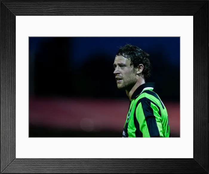 Framed Print : Wayne Bridge Framed Print : Wayne Bridge