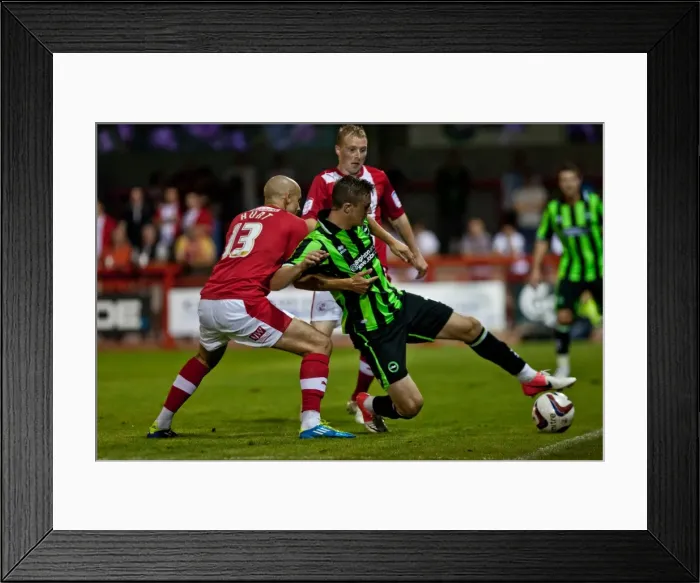 Framed Print : Brighton & Hove Albion vs Crawley Town: 2012-13 Pre-Season Clash Framed Print : Brighton & Hove Albion vs Crawley Town: 2012-13 Pre-Season Clash