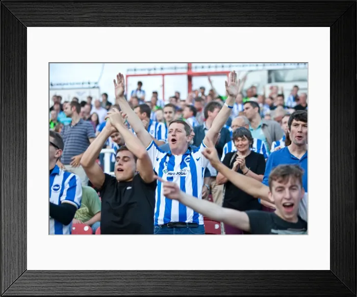Framed Print : Sea of Seagulls: Brighton and Hove Albion Away Days 2012-13 Framed Print : Sea of Seagulls: Brighton and Hove Albion Away Days 2012-13