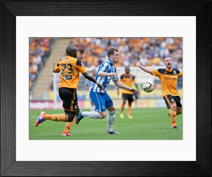 Framed Print : Brighton & Hove Albion vs. Hull City: 2012-13 Away Game Framed Print : Brighton & Hove Albion vs. Hull City: 2012-13 Away Game