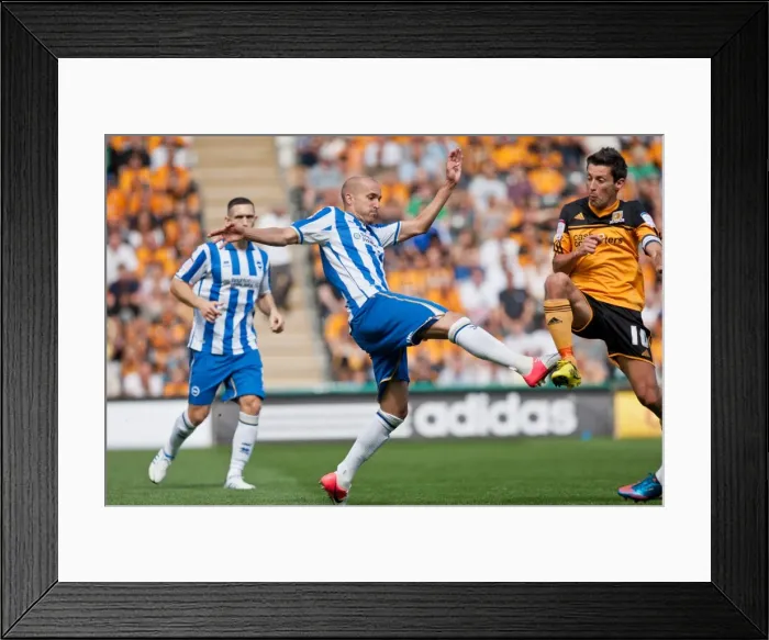 Framed Print : A Glimpse into the Past: Brighton & Hove Albion vs. Hull City (August 18, 2012) - 2012-13 Season Away Game Framed Print : A Glimpse into the Past: Brighton & Hove Albion vs. Hull City (August 18, 2012) - 2012-13 Season Away Game