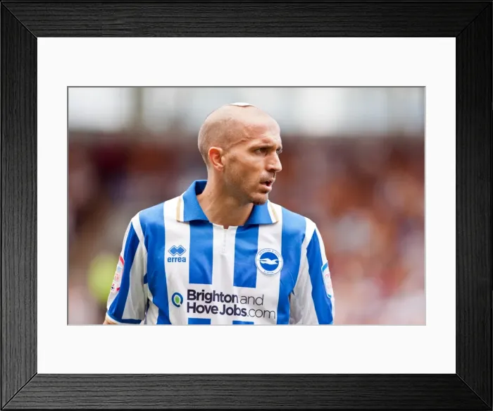 Framed Print : Brighton & Hove Albion Away: 2012-13 Season at Hull City (18-08-2012) Framed Print : Brighton & Hove Albion Away: 2012-13 Season at Hull City (18-08-2012)