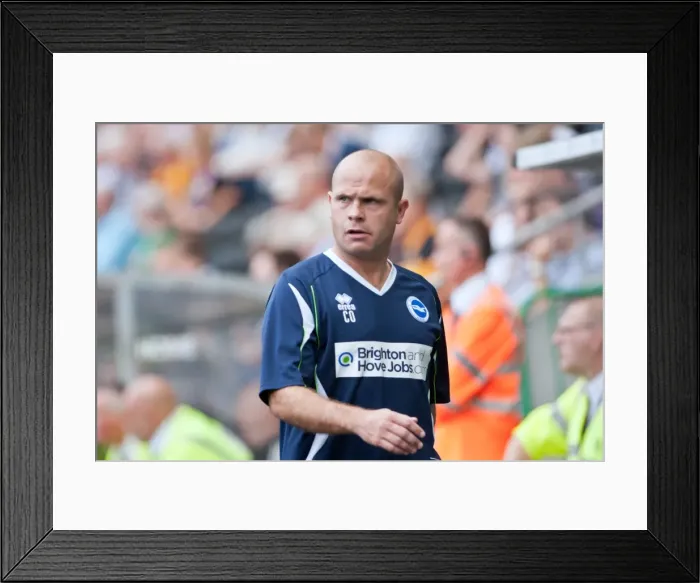 Framed Print : Brighton & Hove Albion vs. Hull City: 2012-13 Season - Away Game Framed Print : Brighton & Hove Albion vs. Hull City: 2012-13 Season - Away Game