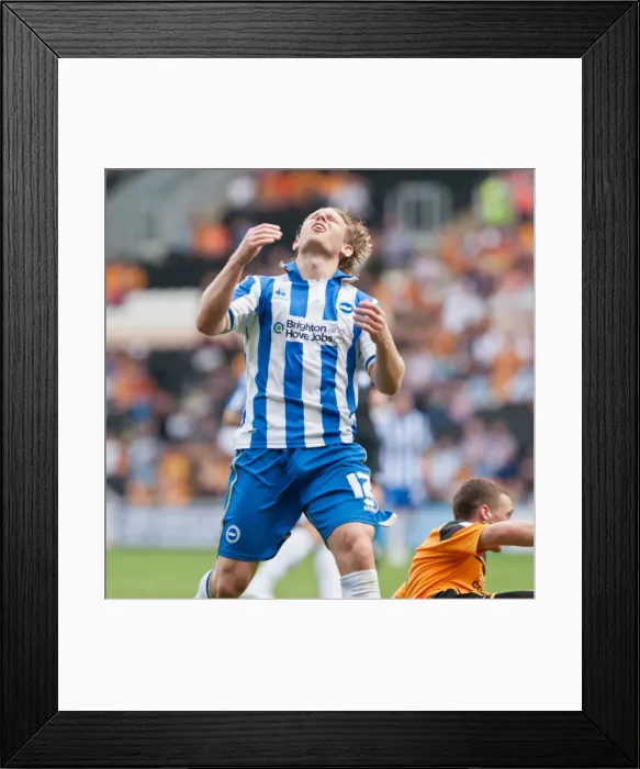 Framed Print : Brighton & Hove Albion vs. Hull City: 2012-13 Season Away Game Framed Print : Brighton & Hove Albion vs. Hull City: 2012-13 Season Away Game