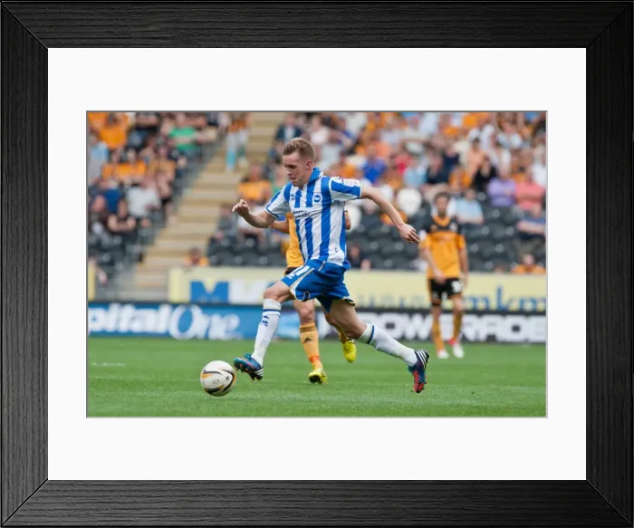 Framed Print : Brighton & Hove Albion vs. Hull City: Kick-Starting the 2012-13 Season - Away Game Framed Print : Brighton & Hove Albion vs. Hull City: Kick-Starting the 2012-13 Season - Away Game