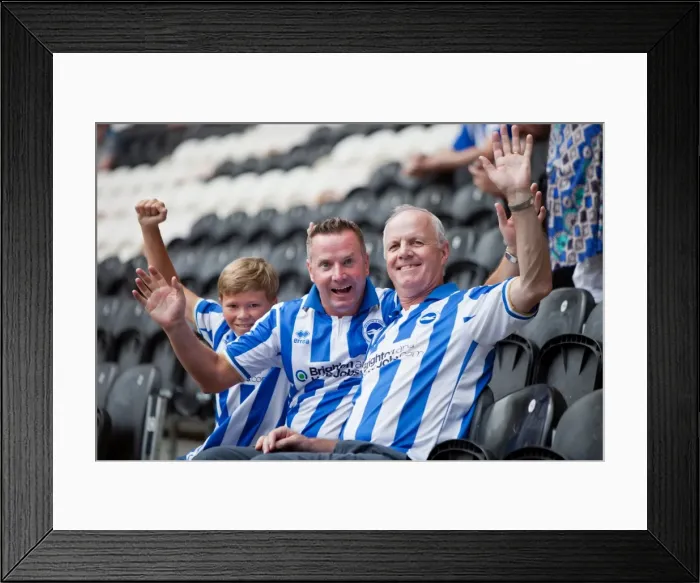 Framed Print : Brighton & Hove Albion vs. Hull City (Away) - 18-08-2012: A Football Encounter from the 2012-13 Season Framed Print : Brighton & Hove Albion vs. Hull City (Away) - 18-08-2012: A Football Encounter from the 2012-13 Season