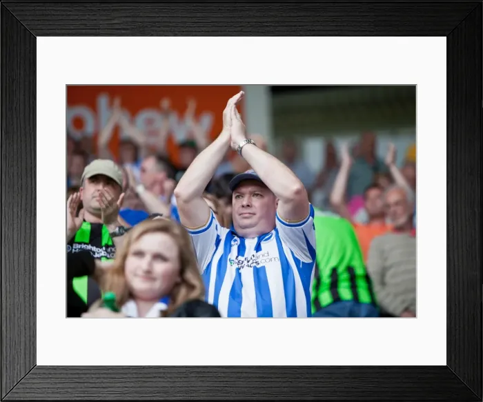 Framed Print : Sea of Supporters: Brighton & Hove Albion Away Games 2012-13 Framed Print : Sea of Supporters: Brighton & Hove Albion Away Games 2012-13