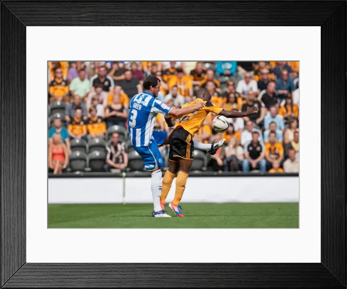 Framed Print : Brighton & Hove Albion vs. Hull City: 2012-13 Season Away Game - August 18, 2012 Framed Print : Brighton & Hove Albion vs. Hull City: 2012-13 Season Away Game - August 18, 2012