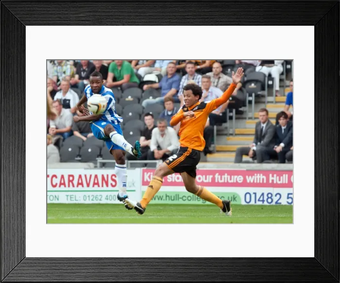 Framed Print : Brighton & Hove Albion vs. Hull City: 2012-13 Away Game Framed Print : Brighton & Hove Albion vs. Hull City: 2012-13 Away Game