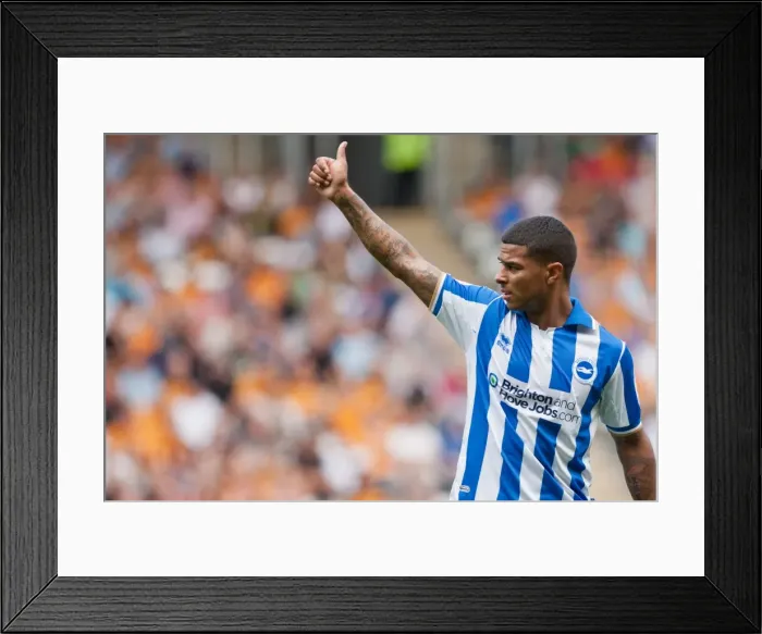 Framed Print : Brighton & Hove Albion: Liam Bridcutt in Action Framed Print : Brighton & Hove Albion: Liam Bridcutt in Action
