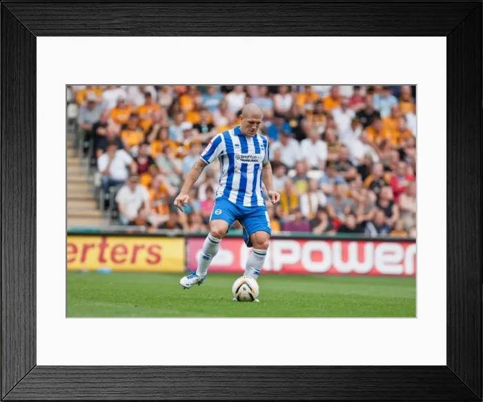 Framed Print : Adam El-Abd Hull City Brighton HA 120818 Framed Print : Adam El-Abd Hull City Brighton HA 120818