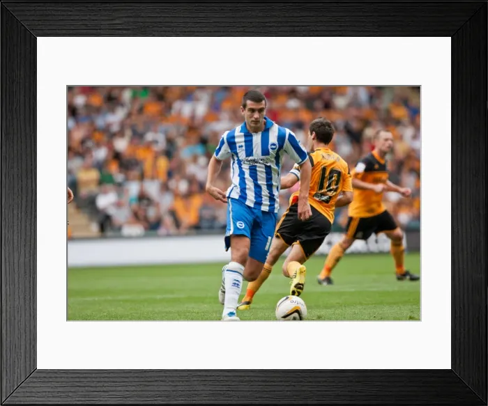 Framed Print : Gary Dicker Hull City Brighton HA 120818 Framed Print : Gary Dicker Hull City Brighton HA 120818