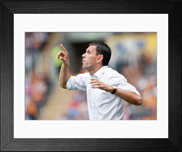 Framed Print : Gus Poyet Hull City Brighton HA 120818 Framed Print : Gus Poyet Hull City Brighton HA 120818