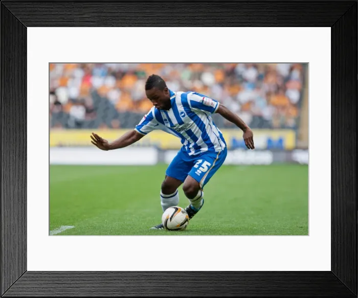 Framed Print : LuaLua in Action: Hull City vs. Brighton & Hove Albion, August 18, 2012 Framed Print : LuaLua in Action: Hull City vs. Brighton & Hove Albion, August 18, 2012