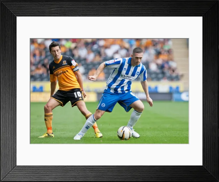 Framed Print : Andrew Crofts Hull City Brighton HA 120818 Framed Print : Andrew Crofts Hull City Brighton HA 120818