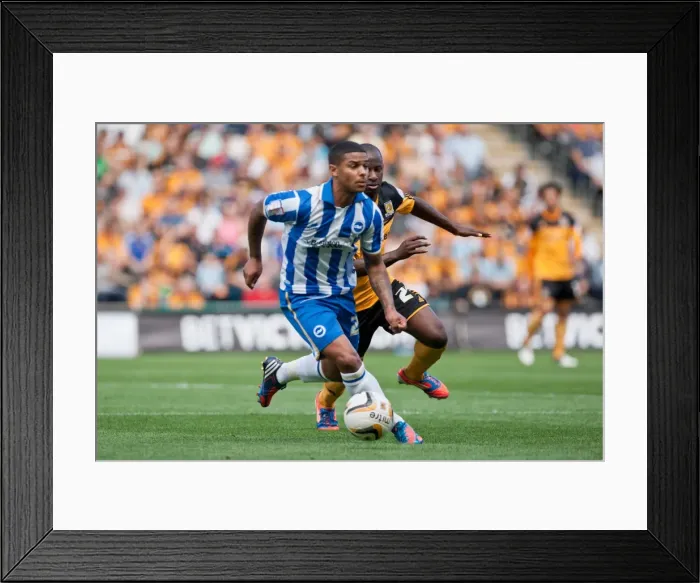 Framed Print : Liam Bridcutt Hull City Brighton HA 120818 Framed Print : Liam Bridcutt Hull City Brighton HA 120818