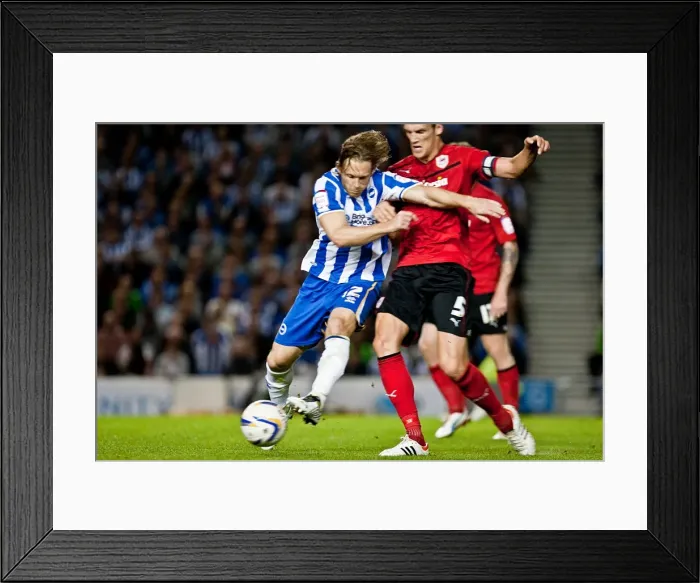 Framed Print : Brighton & Hove Albion vs. Cardiff City (2012-13 Season: Home Game) Framed Print : Brighton & Hove Albion vs. Cardiff City (2012-13 Season: Home Game)