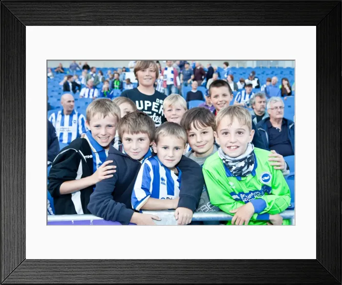 Framed Print : Brighton & Hove Albion: Unforgettable Crowd Moments at the Amex Stadium (2012-2013) Framed Print : Brighton & Hove Albion: Unforgettable Crowd Moments at the Amex Stadium (2012-2013)