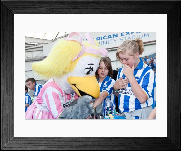 Framed Print : Brighton & Hove Albion vs. Cardiff City (2012-13): Reliving the Thrills of the Season Opener Framed Print : Brighton & Hove Albion vs. Cardiff City (2012-13): Reliving the Thrills of the Season Opener