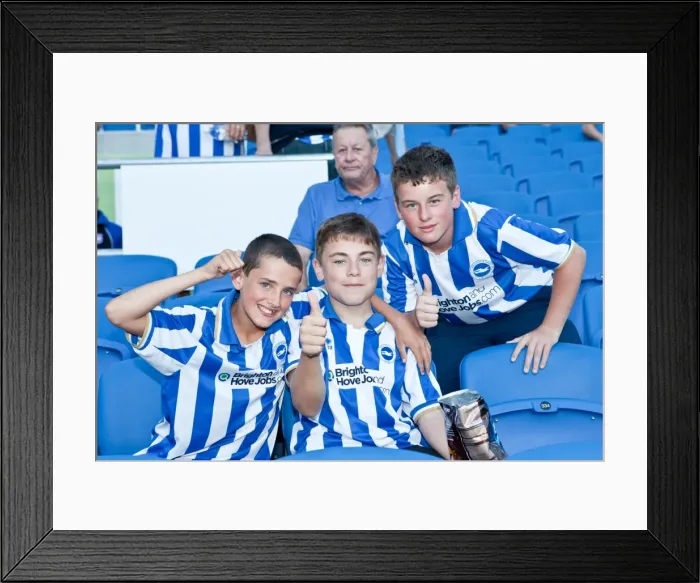 Framed Print : Electric Atmosphere: Brighton & Hove Albion FC Crowd Shots at the Amex Stadium (2012-2013) Framed Print : Electric Atmosphere: Brighton & Hove Albion FC Crowd Shots at the Amex Stadium (2012-2013)