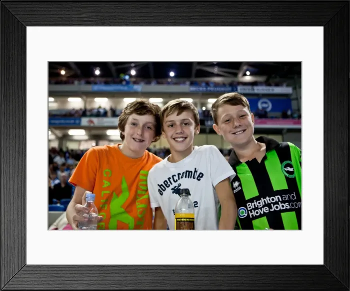 Framed Print : Brighton and Hove Albion: Electrifying Fan Experiences at The Amex Stadium (2012-2013) - Unforgettable Crowd Moments Framed Print : Brighton and Hove Albion: Electrifying Fan Experiences at The Amex Stadium (2012-2013) - Unforgettable Crowd Moments