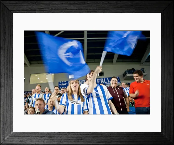 Framed Print : Brighton & Hove Albion: Nostalgic Review of the 2012-13 Home Game Against Cardiff City