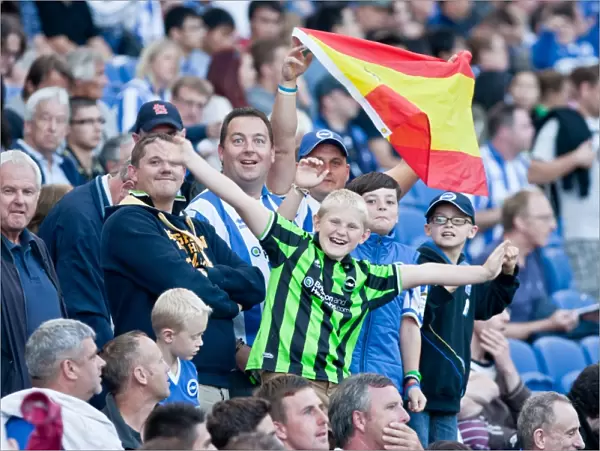 Brighton & Hove Albion: A Nostalgic Look Back at the 2012-13 Home Game Against Cardiff City