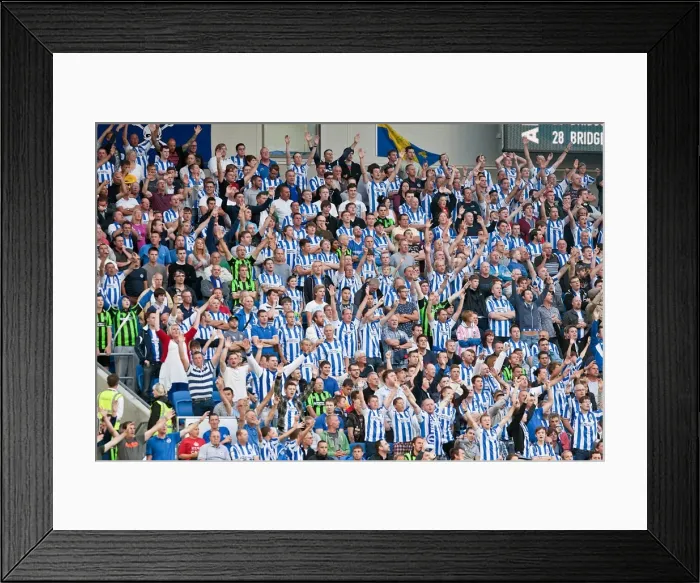 Framed Print : Brighton & Hove Albion vs. Cardiff City: A Home Battle (2012-13 Season) Framed Print : Brighton & Hove Albion vs. Cardiff City: A Home Battle (2012-13 Season)