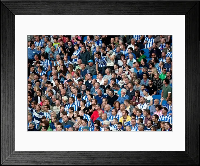 Framed Print : Brighton & Hove Albion: Nostalgic Review of the 2012-13 Home Game Against Cardiff City