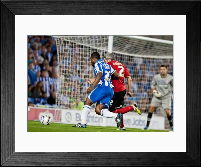 Framed Print : Brighton & Hove Albion vs. Cardiff City (2012-13) - Home Game Highlights: August 21, 2012 Framed Print : Brighton & Hove Albion vs. Cardiff City (2012-13) - Home Game Highlights: August 21, 2012