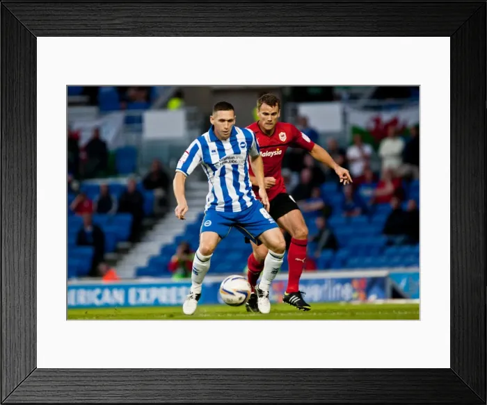 Framed Print : Brighton HA Cardiff City 120821 Framed Print : Brighton HA Cardiff City 120821