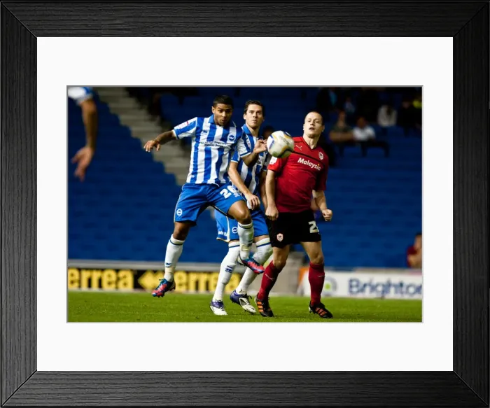 Framed Print : Bridcutt and Greer in Action: Brighton & Hove Albion vs. Cardiff City, Npower Championship Clash (August 2012) Framed Print : Bridcutt and Greer in Action: Brighton & Hove Albion vs. Cardiff City, Npower Championship Clash (August 2012)