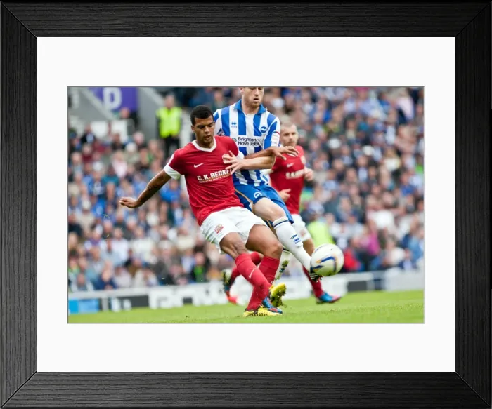 Framed Print : Barnes Determination: Brighton & Hove Albion vs Barnsley, 25-08-2012 Framed Print : Barnes Determination: Brighton & Hove Albion vs Barnsley, 25-08-2012