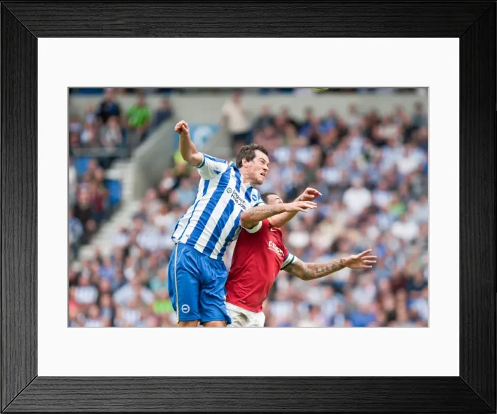 Framed Print : Gordon Greer of Brighton & Hove Albion in Action Against Barnsley, August 25, 2012 Framed Print : Gordon Greer of Brighton & Hove Albion in Action Against Barnsley, August 25, 2012