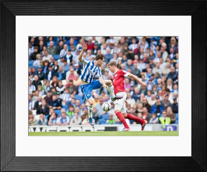 Framed Print : Brighton & Hove Albion vs Barnsley (2012-13): A Home Game - August 25, 2012 Framed Print : Brighton & Hove Albion vs Barnsley (2012-13): A Home Game - August 25, 2012